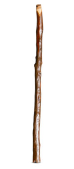 Heartland Didgeridoo (HD470)